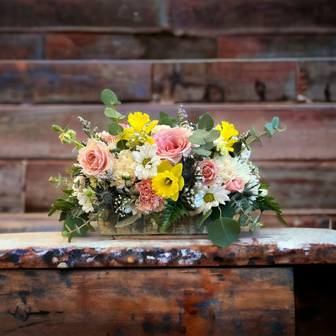 WhatsApp Image 2023-04-23 at 5.21.39 PM.jpeg