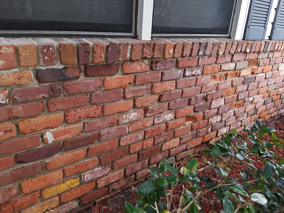 20190213_145108.jpg