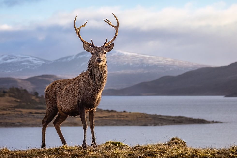 28 Watching Over the Glen