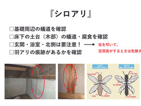 【#17 シロアリ】中古住宅の見極め術
