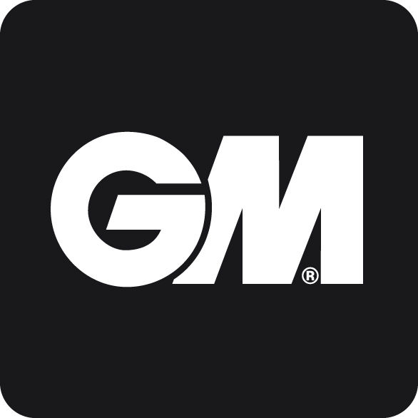 New GM Logo
