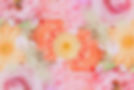 a7f26fce38cb33ddc9209788489c3d09_m_edited.jpg