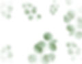 Green Leaf Watercolor Project To Do List Planner_edited_edited.jpg