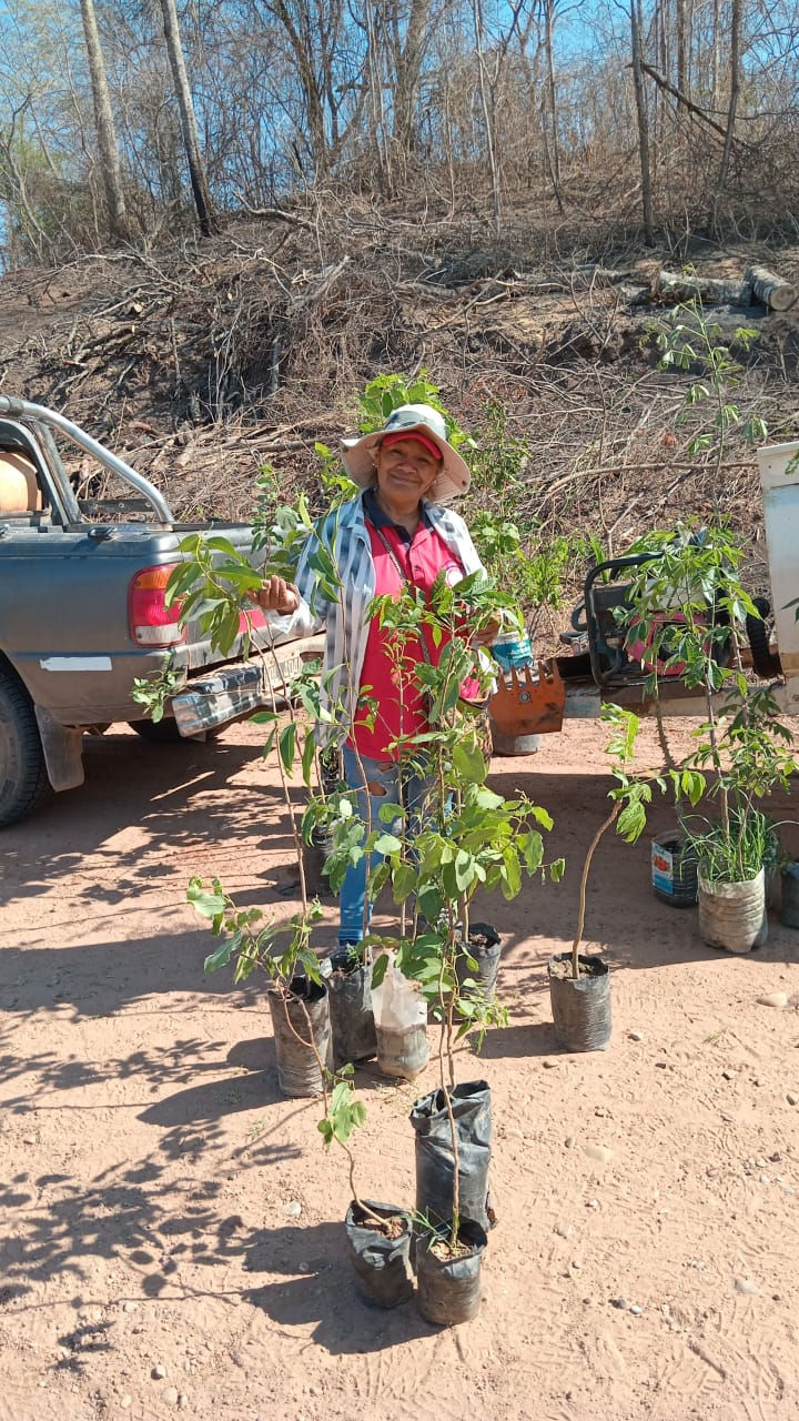 Reforestación en cooperación con ECO Z