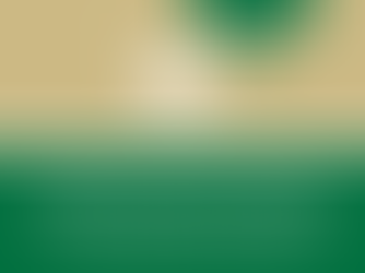 Northern California Firm Improves Information Governance Program and Reduces Offsite Records Storage