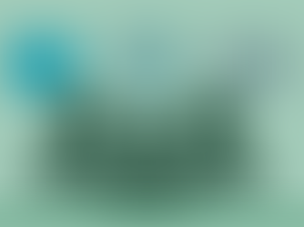 Feedback from the Forums