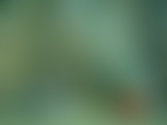 Don’t Be Held Hostage by Offsite Records Storage Fees!