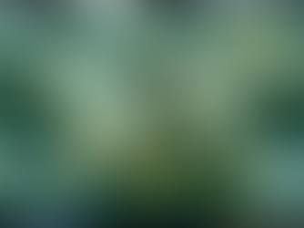 Can You Ensure Law Firm Loyalty In Your Outsourced Providers?