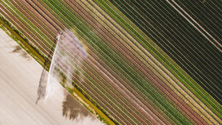 Optimizing Working Capital: A Path to Agricultural Business Growth and Efficiency