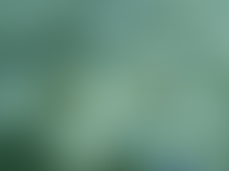 What is the state of your records?