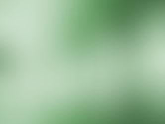 Meet the Consultant:  Ben Schmidt, JD