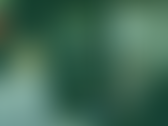 Next Week in Washington D.C. and NYC: Last Chance to Join the Managed Services Conversation