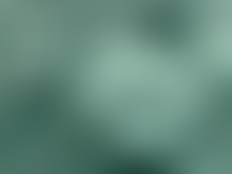 Q:  Who Is Minding the Store?  (A:  You)