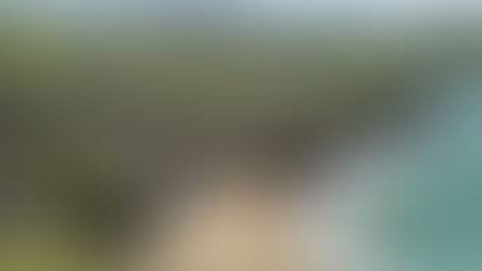 War, Oil, Entrepreneurs, and Slainte!