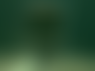 OfficeMax and Office Depot merger: creating opportunities across the board