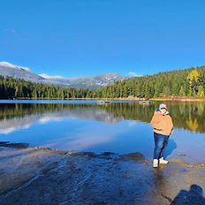 Roe at Whistler looking at landscape