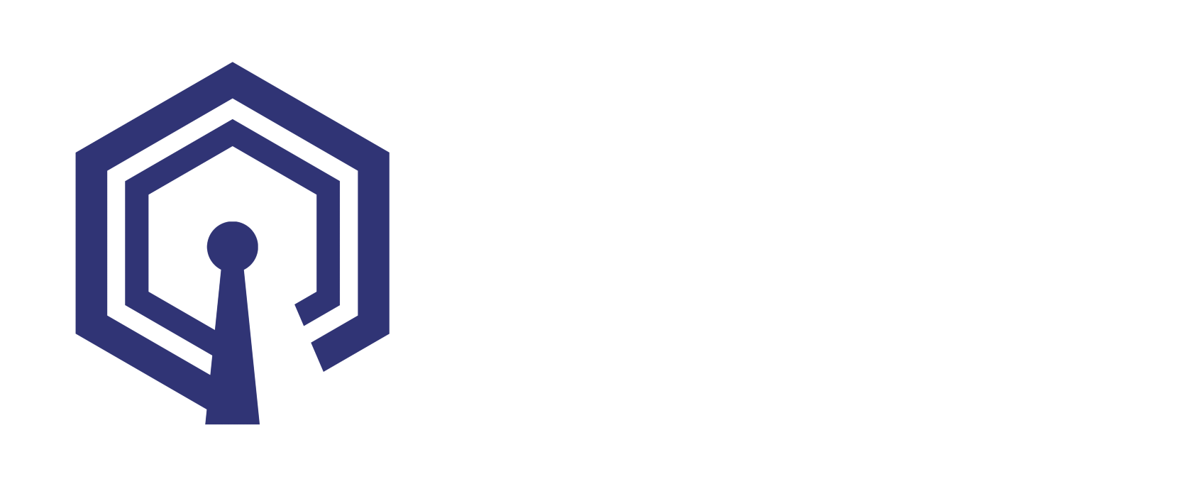 CG Silvers Consulting Logo Animation.gif