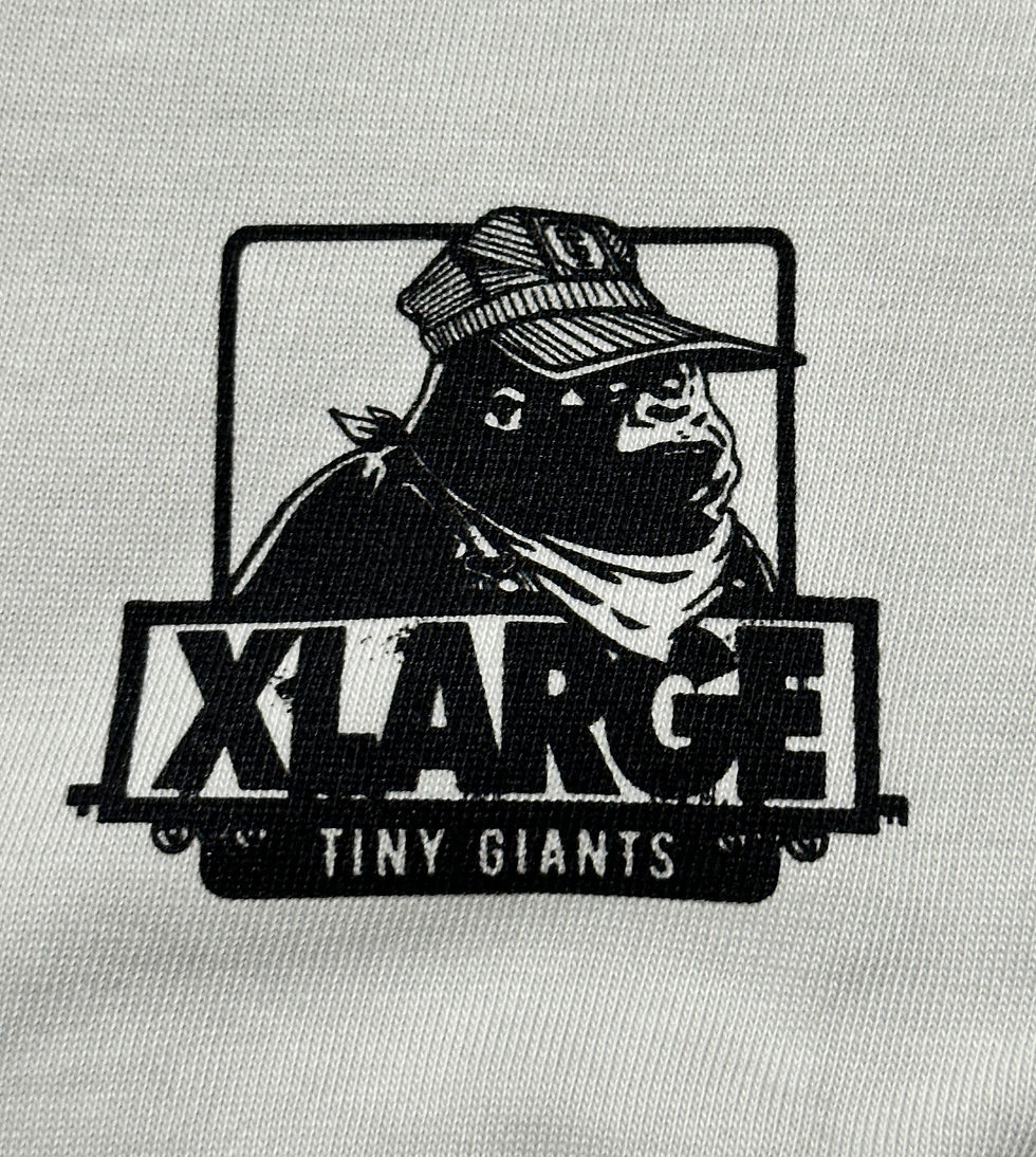 Thumbnail: TG X XLARGE Collab T-Shirt