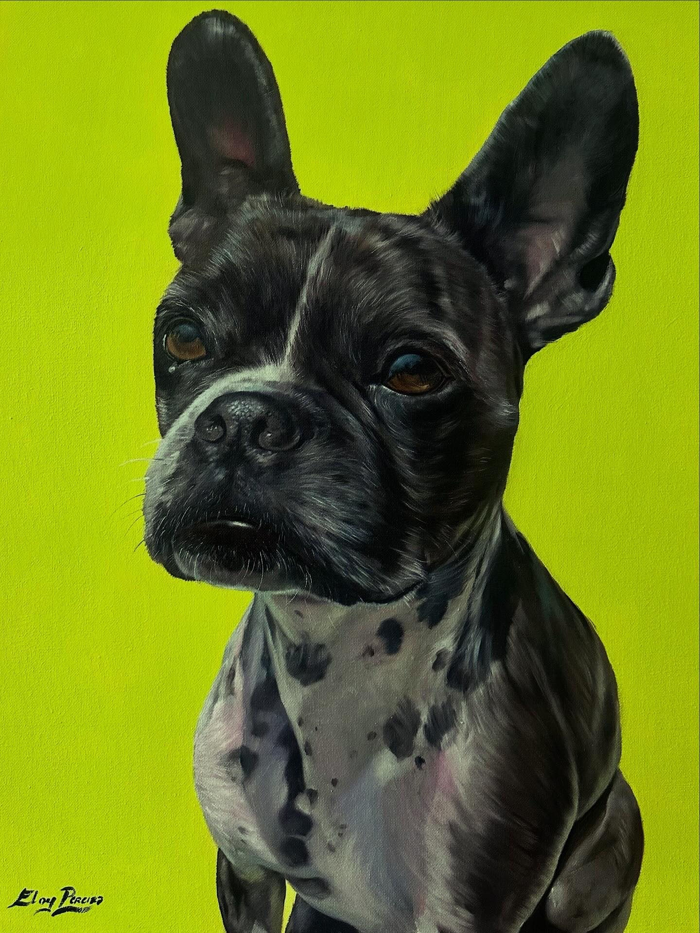 retrato animal