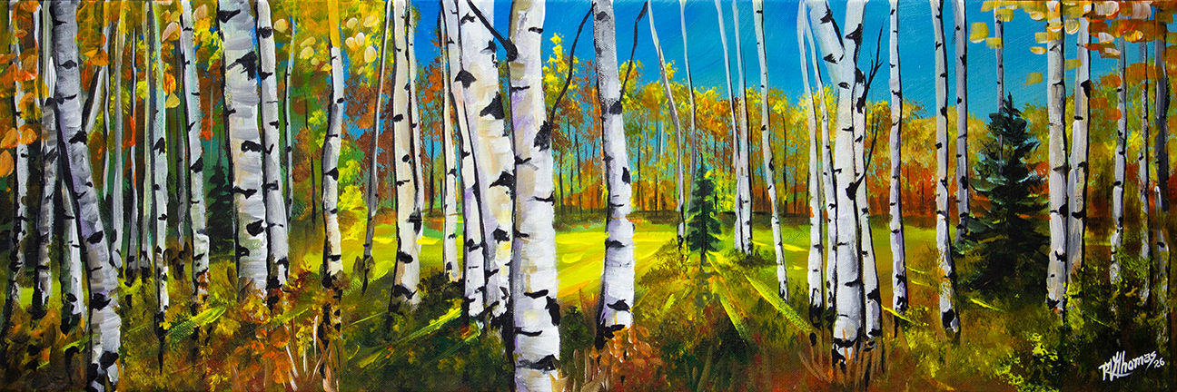 Aspen Allegro