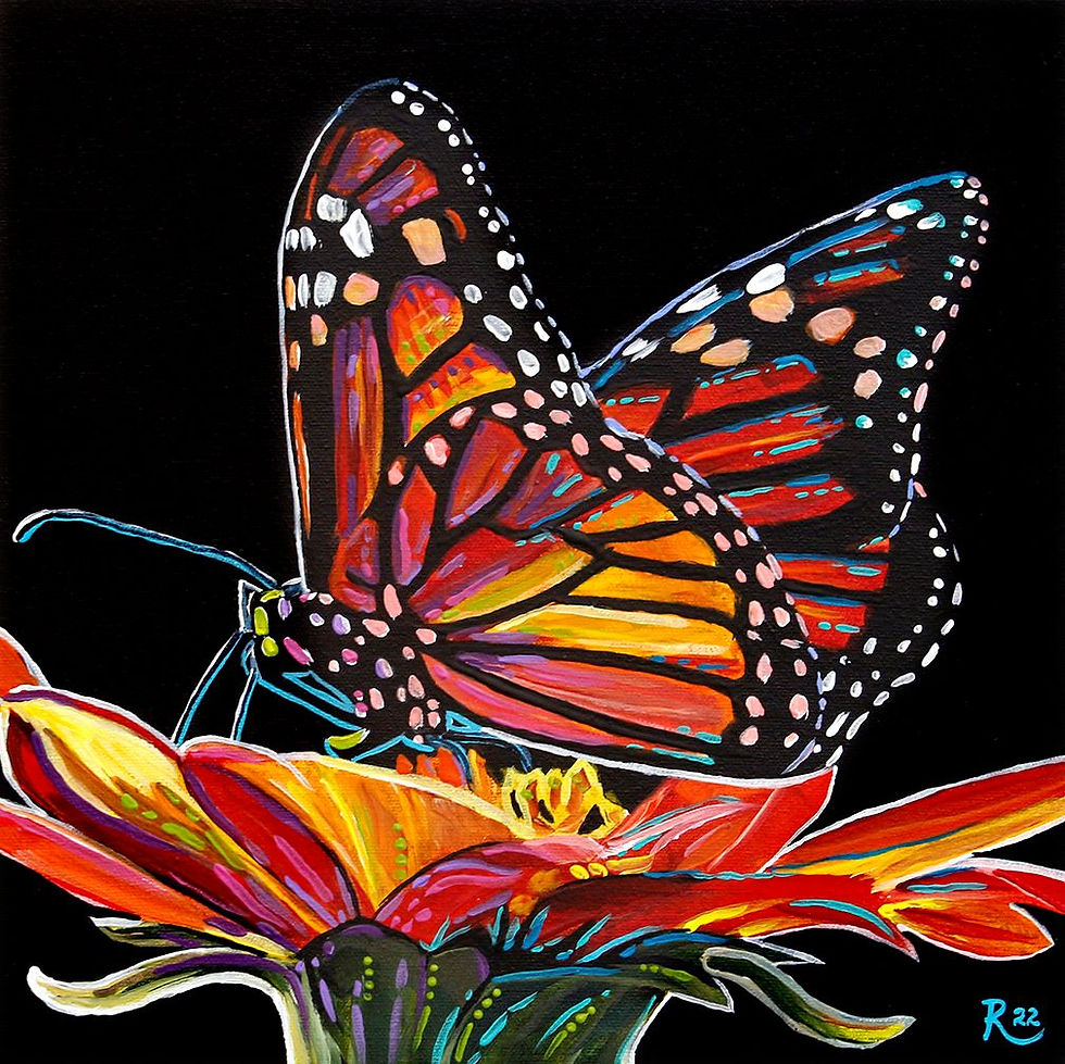 Butterfly on Black