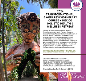 6 week psychoTherapy Course + Mexico holistic health & Wellness retreat.png