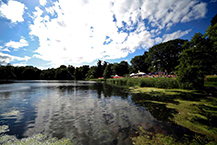 VFest