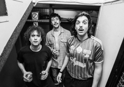 The Parrots