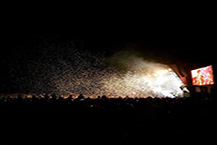 onblackheath