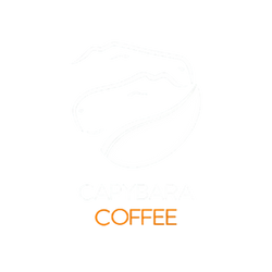Capybara Coffee Knoxville
