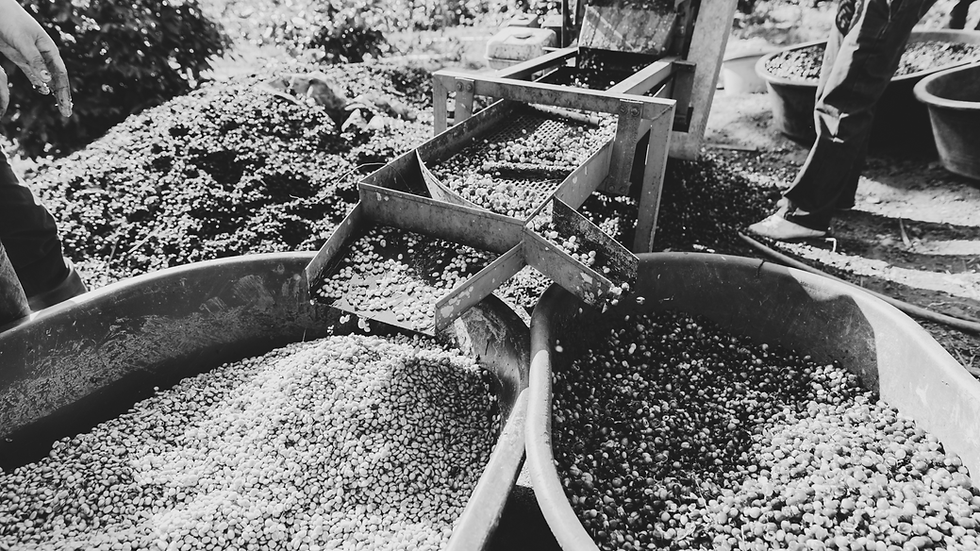 Untitled design (33).png