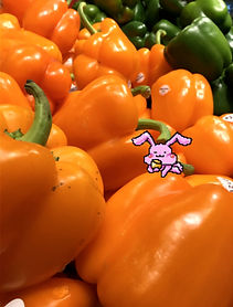 1.2020_rabbit_in_bellpepper.jpg