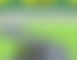 Creating Welcoming Parks and Recreation Environments: A Training for Professionals and Volunteers