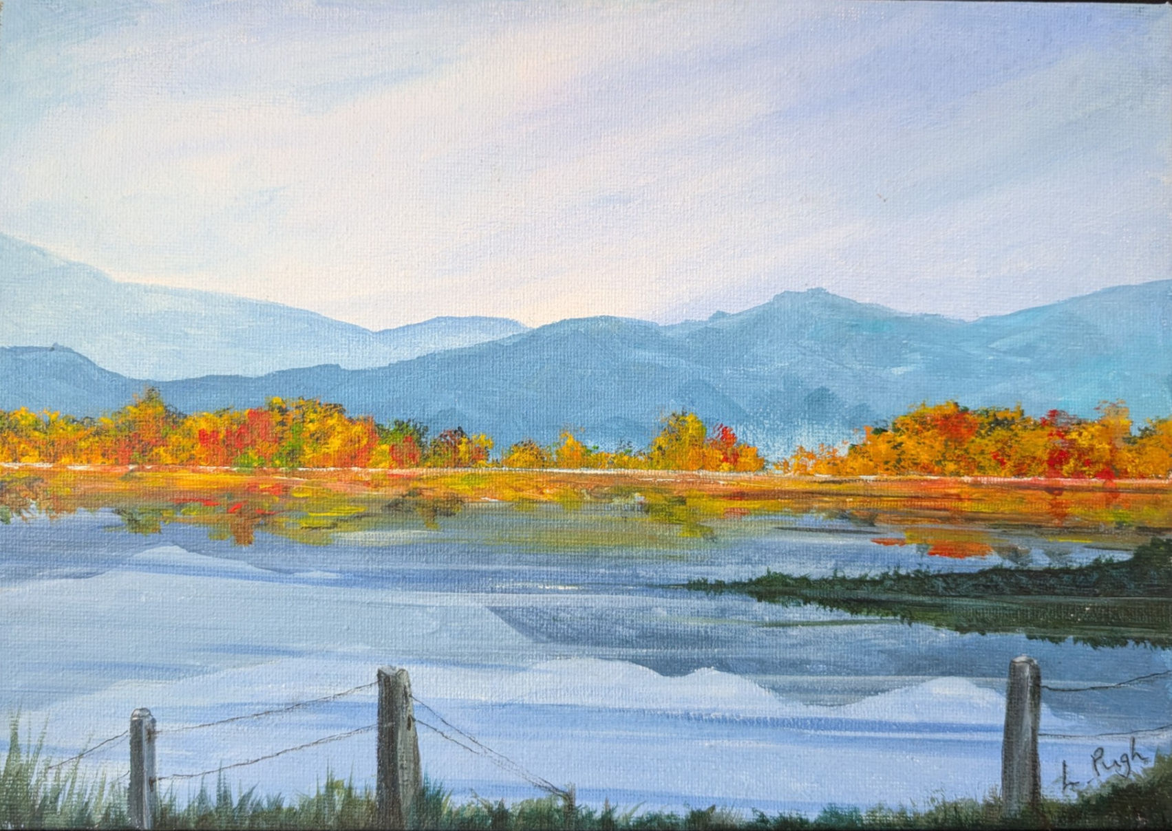 Lake Reflections