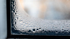 Protecting Your Home from Mold: Coverage, Exclusions, and Prevention 