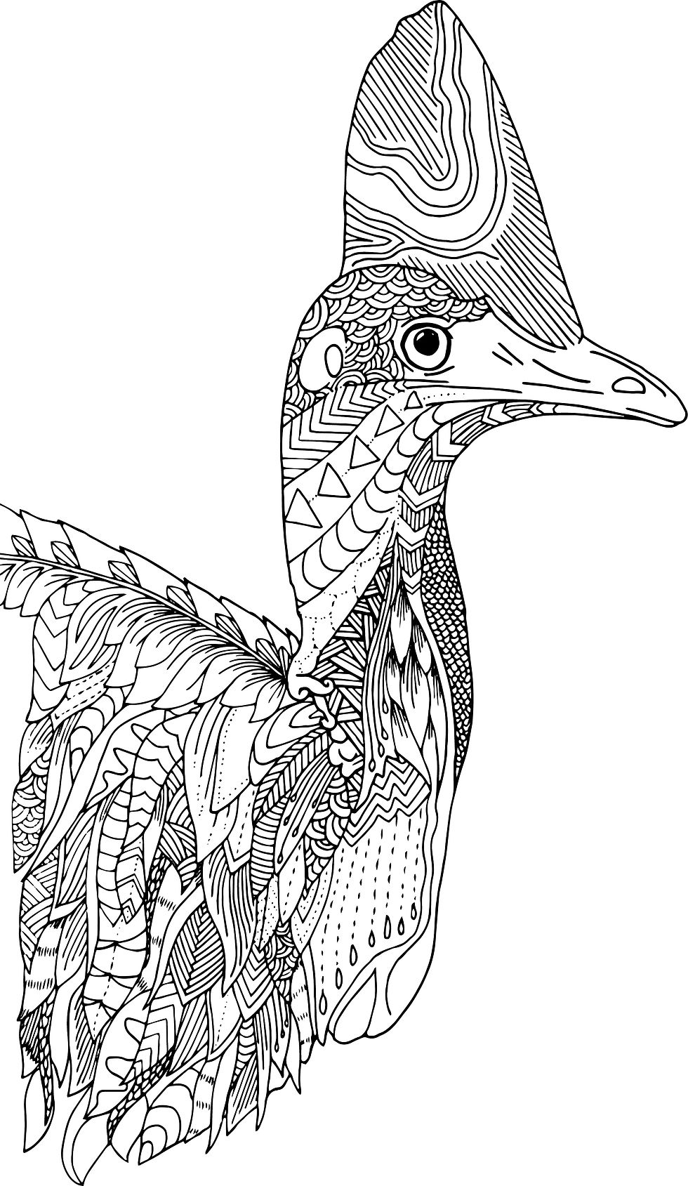 Thumbnail: Animals of Australia Colouring Book