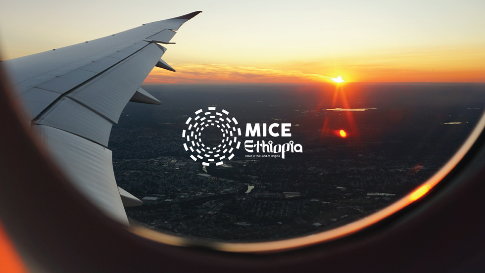 Mice-Ethiopia-on-image.png