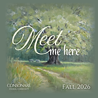 Meet me here-Consonare.png