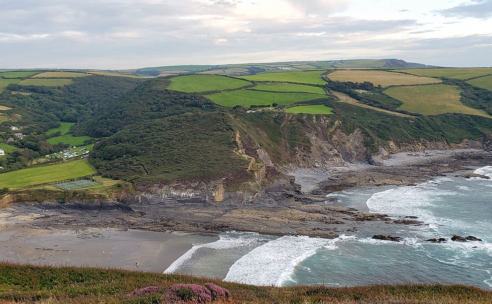 rugged cliff coast of Cornwall, with views of farmland on the cliff above the sea
