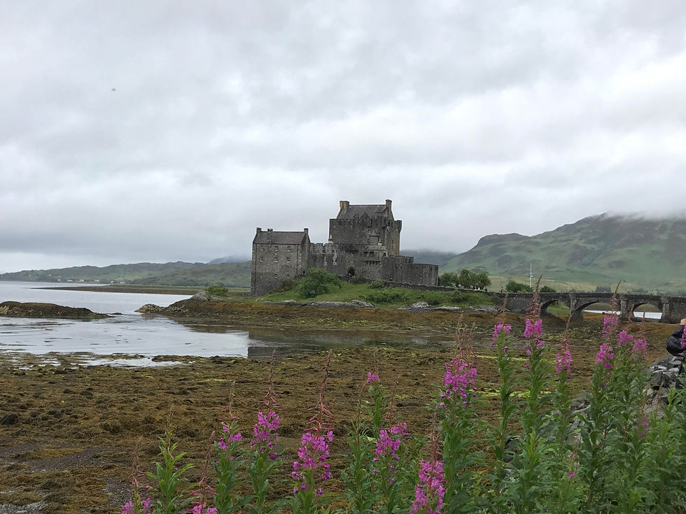 famous castle next to the sea on the Isle of Skye in Scotland with wild flowers