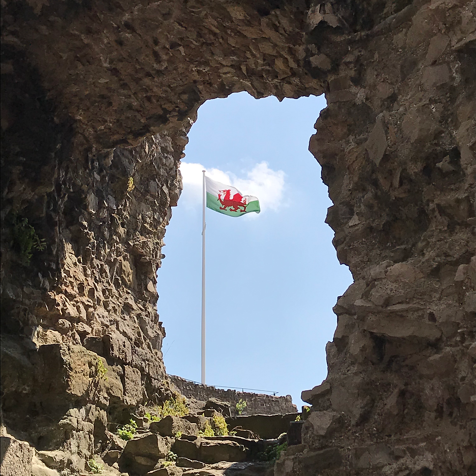 welsh flag that is green and white with a red dragon