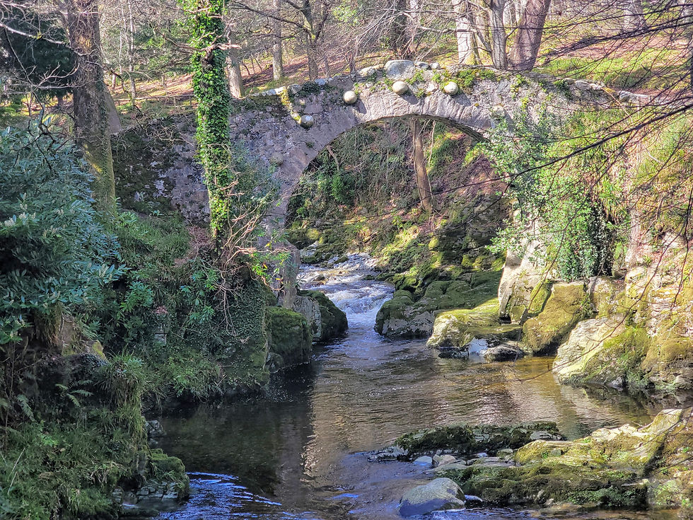 circle bridge in Ireland over water
