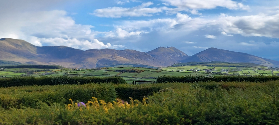 hedge maze with a few of the farmland and hills beyond in Ireland