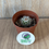 Thumbnail: Stenocactus wippermannii seedling