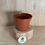Thumbnail: 9cm pots