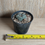 Thumbnail: Lophophora williamsii