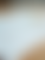 The Life Cycle Assessment Canvas