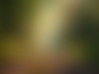 Building Resilience Through Mindfulness Practices