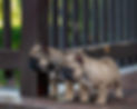 _DSC9081-Edit.jpg