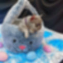 DSC07680-2.jpg